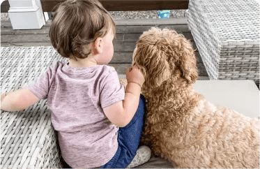 child and dog, private dog training