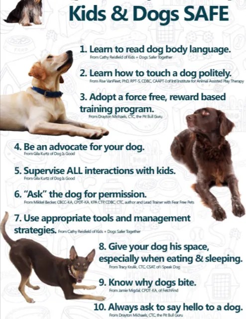 kids and dogs safety