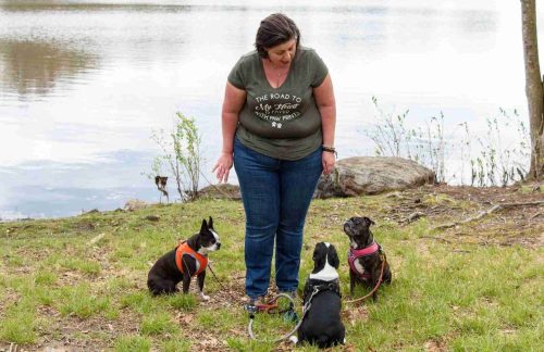 dog training faqs