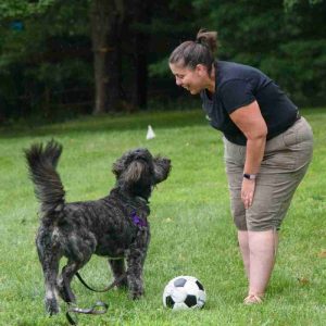 holistic dog trainer