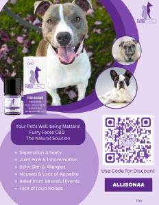 CBD oil for my dogs, CBD oil for pets