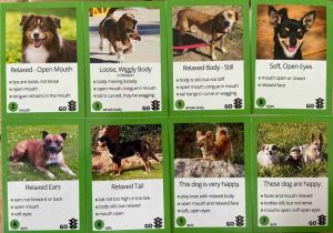 good dog body language